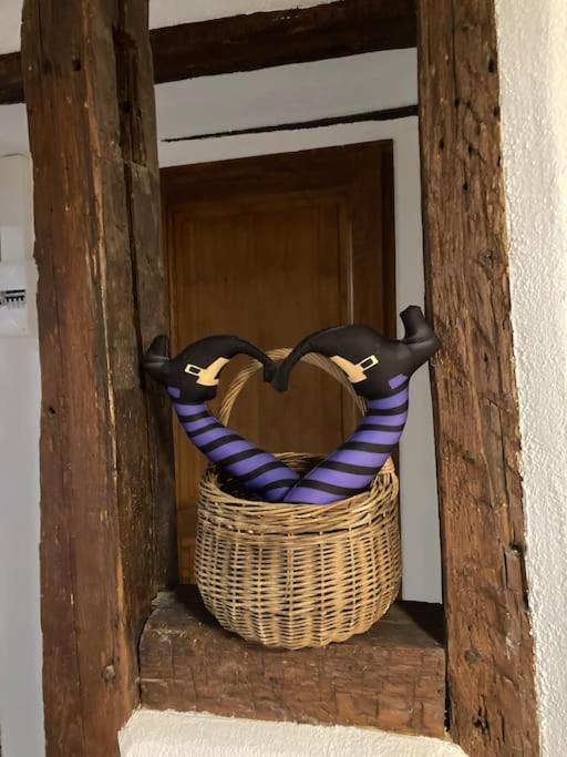 La Sorciere In A Typical Alsatian House Apartment *
