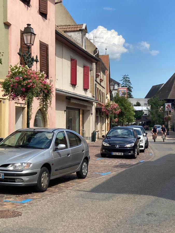 Apartment La Sorciere In A Typical Alsatian House Rouffach