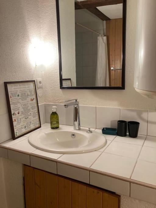 Apartment La Sorciere In A Typical Alsatian House *
